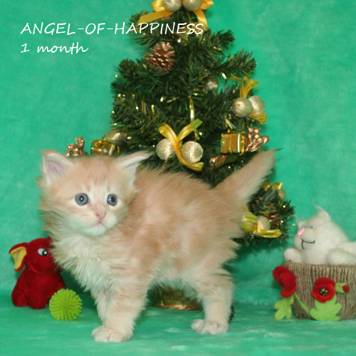 ANGEL-OF-HAPPINESS